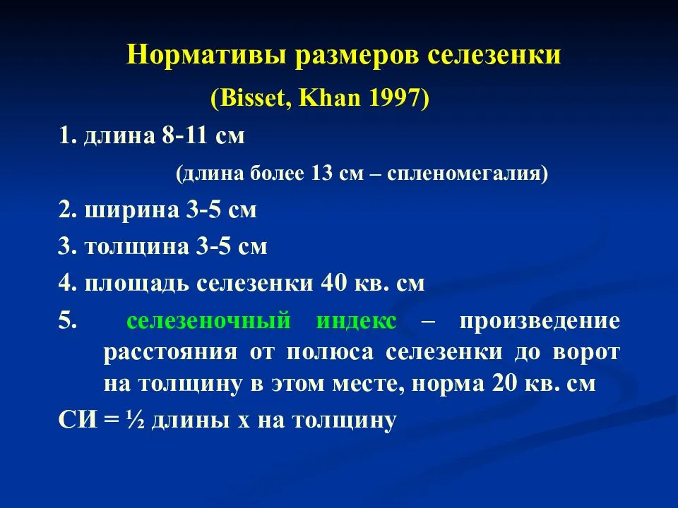 Обзорная рентгенография органов брюшной полости