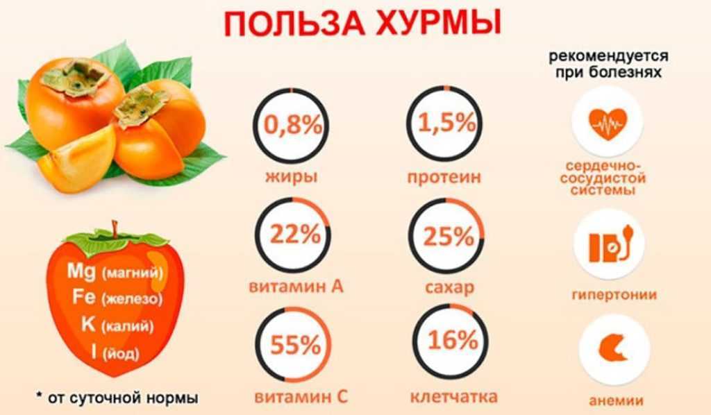 Какие фрукты можно и нельзя употреблять во время беременности? • центр гинекологии в санкт-петербурге