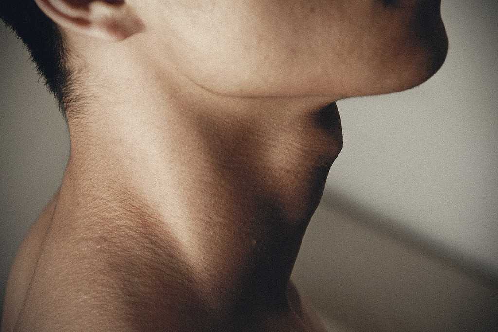 Включи neck