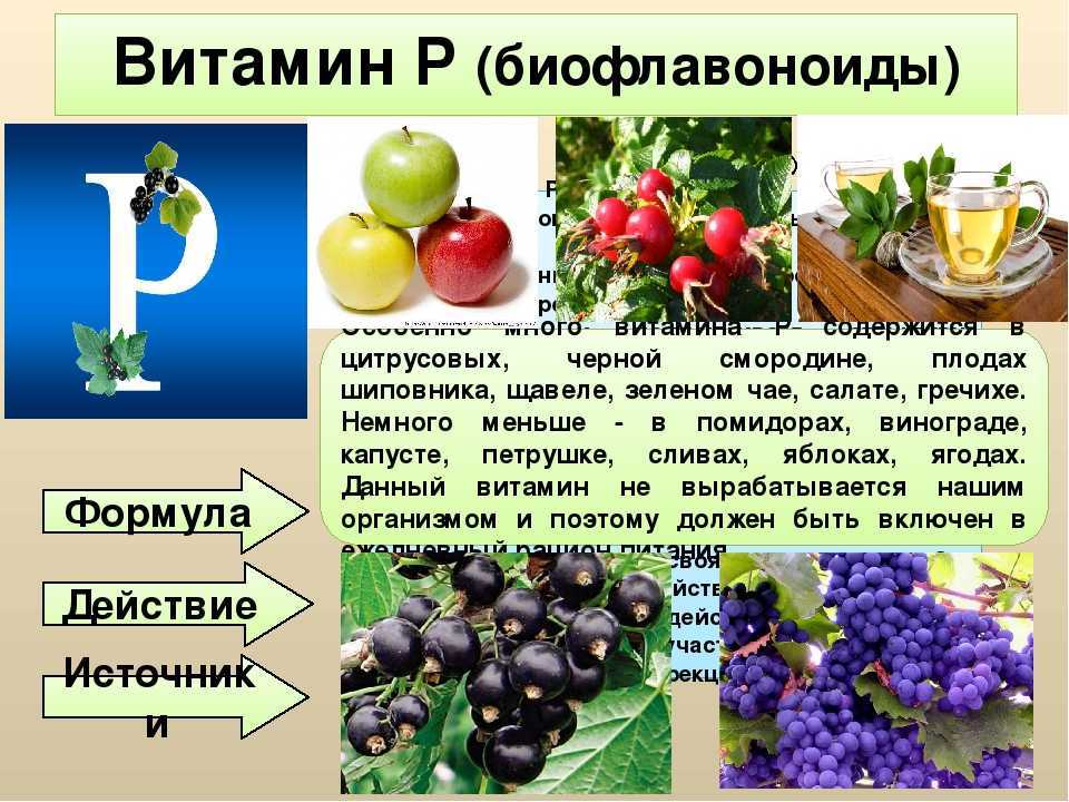 Как правильно пить чай зеленый и черный - как заваривать, полезные свойства