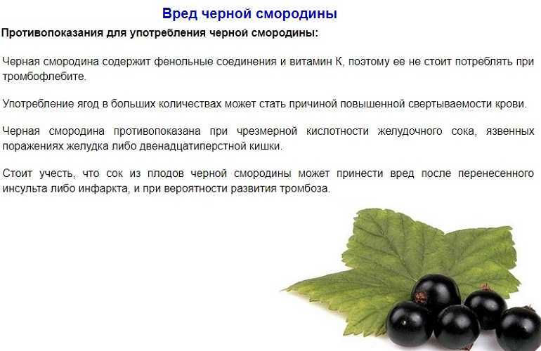 Красная и черная смородина при сахарном диабете 2 типа - польза