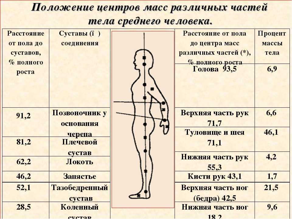 Сколько вес у человека. Центр массы тела человека. Расположение общего центра тяжести. Общий центр тяжести человека. Распределение массы тела.