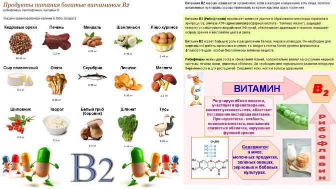 В каких витаминах есть в12. Продукты содержащие витамин в2 таблица. Витамин b2 в каких продуктах содержится больше всего таблица. Витамин b2 b3 в каких продуктах содержится. В 2 витамин где содержится таблица.