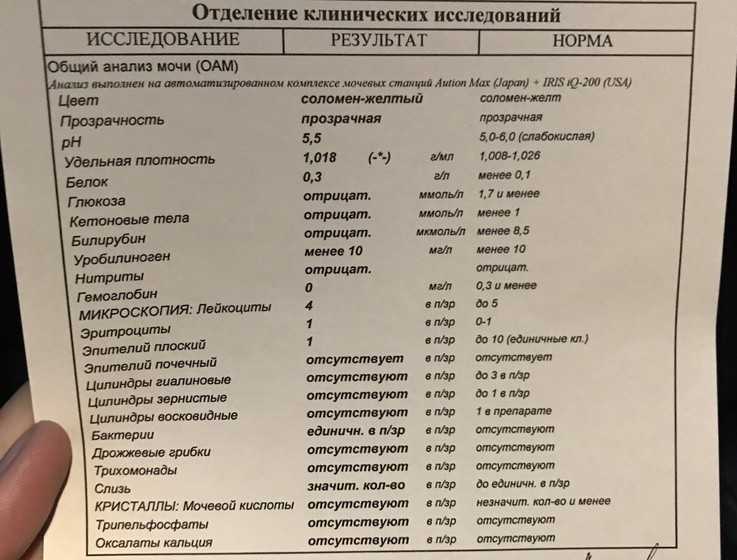 Расшифровка анализа крови, мочи, хгч, биохимического анализа крови - нормальные показатели, таблицы