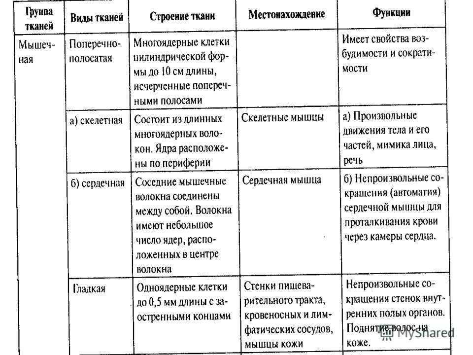 Хрящевая ткань. атлас: анатомия и физиология человека. полное практическое пособие