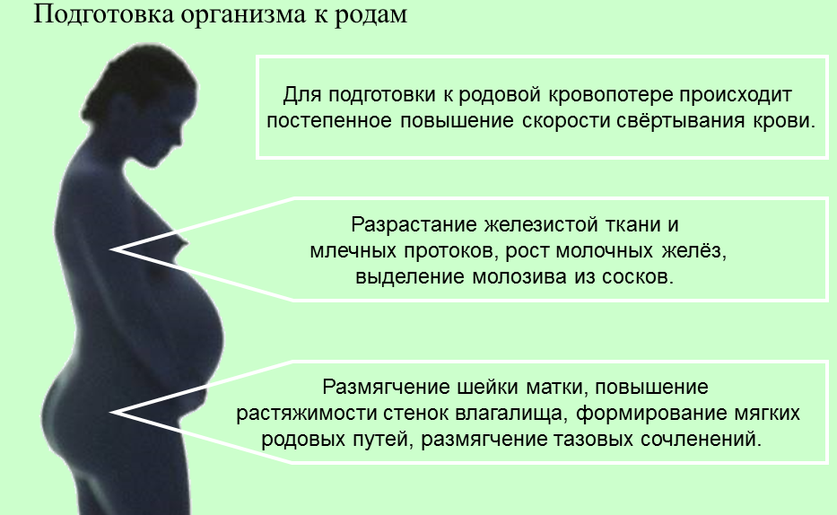 Биоревитализация лица: что это за процедура, эффект после и противопоказания