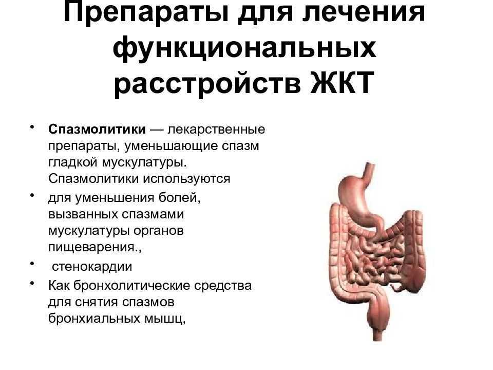 Желудочно кишечный тракт. Функциональное нарушение желудочно кишечного тракта. Функциональные расстройства ЖКТ.