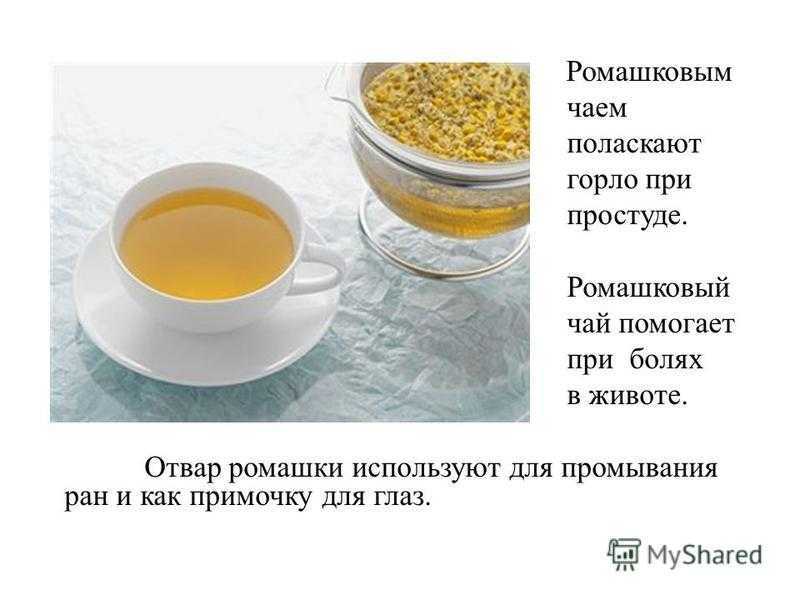 Чем полезен чай с ромашкой полезен для волос