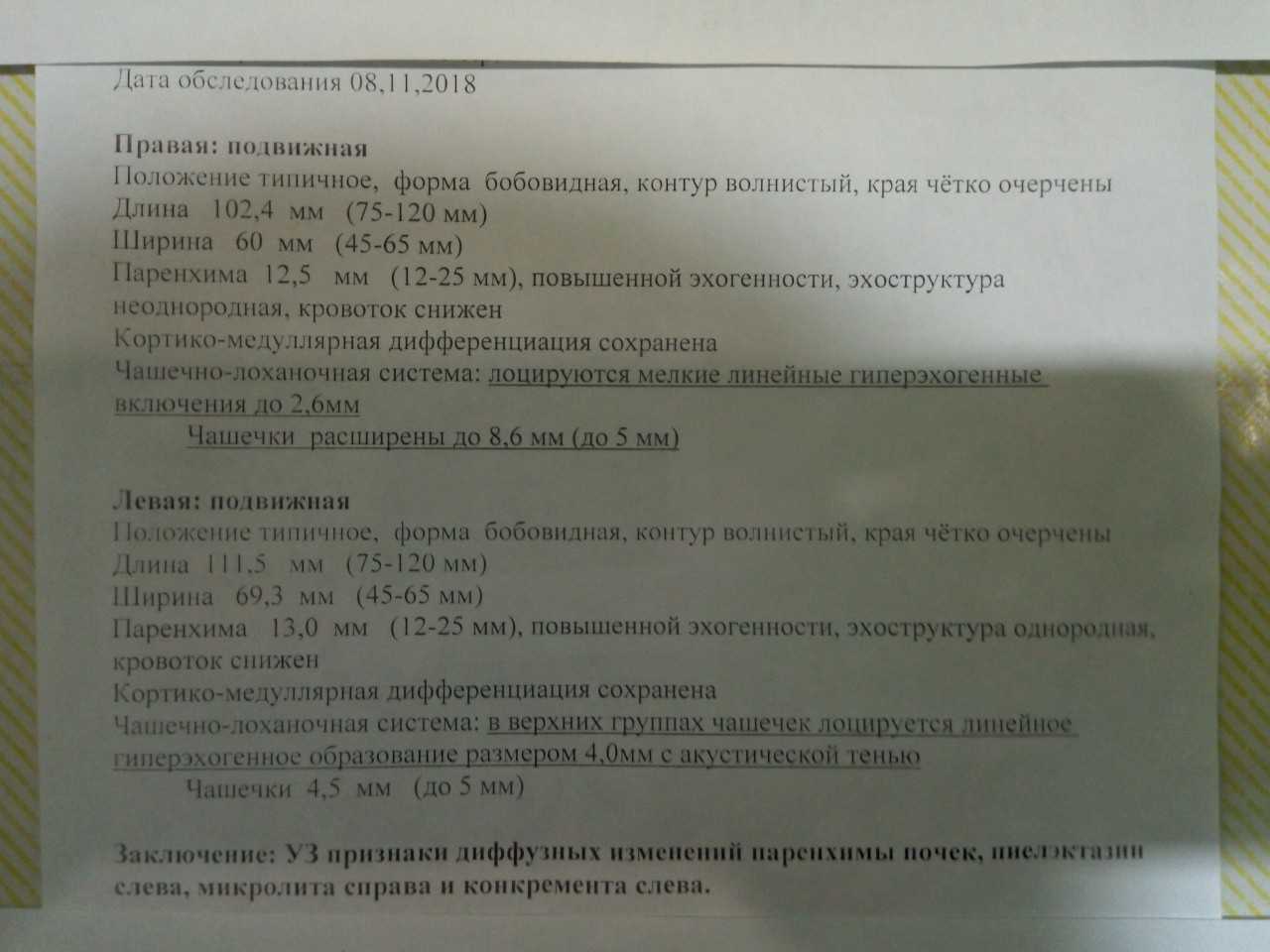 Протокол узи надпочечников образец