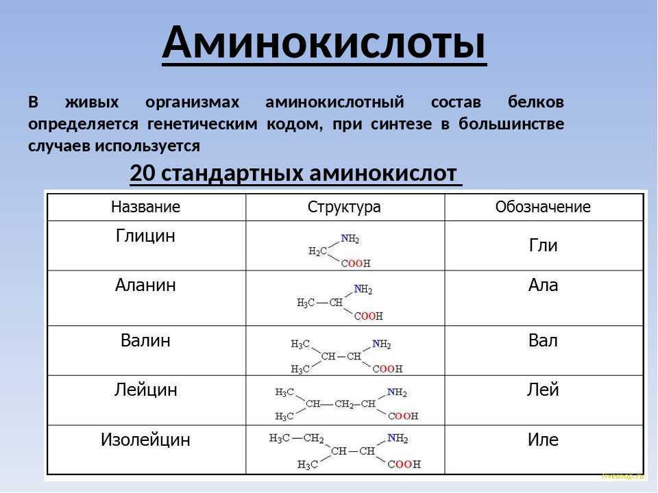 Тирозин | химия онлайн
