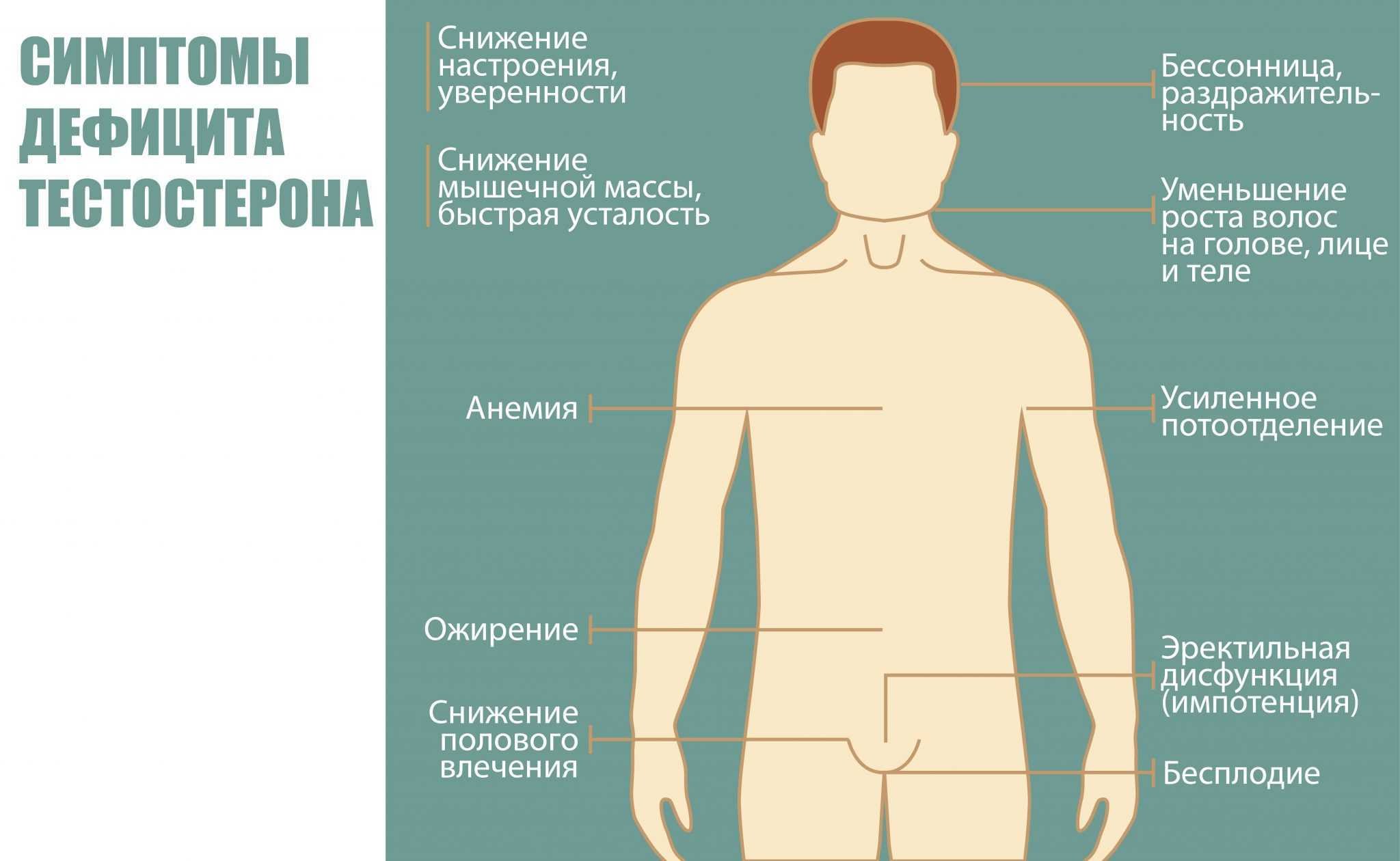 Тестостерон и эстроген у женщин — на что влияет недостаток и избыток этих гормонов