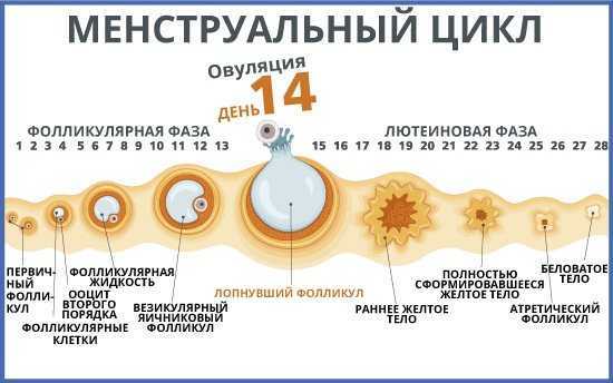 Головная боль во время секса. сильная головная боль во время секса. головная боль при эякуляции - медицинский центр «эхинацея»