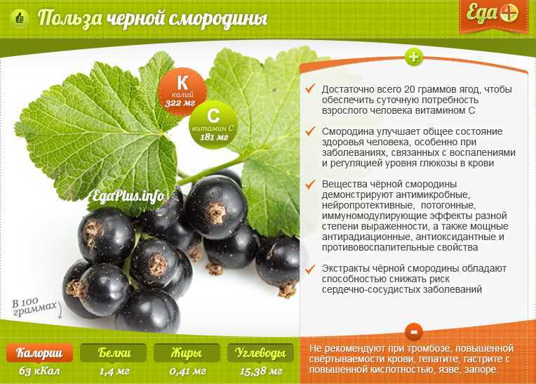 Особенности питания при болезнях кишечника на фоне сахарного диабета