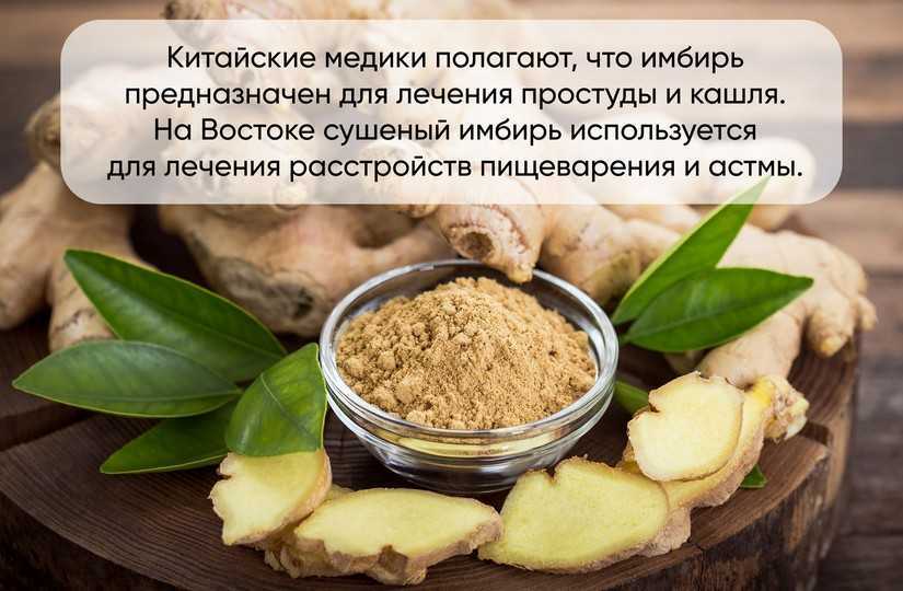 Польза и вред имбиря — 11 лечебных свойств корня для организма человека, а также противопоказания