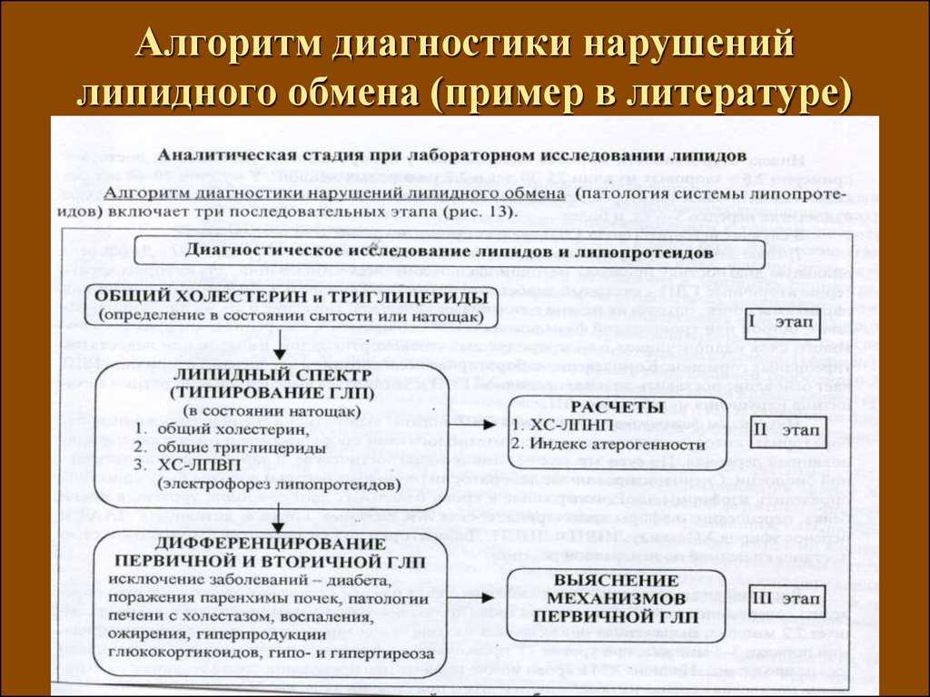 Жир — состав, свойства и роль в диете | университетская клиника