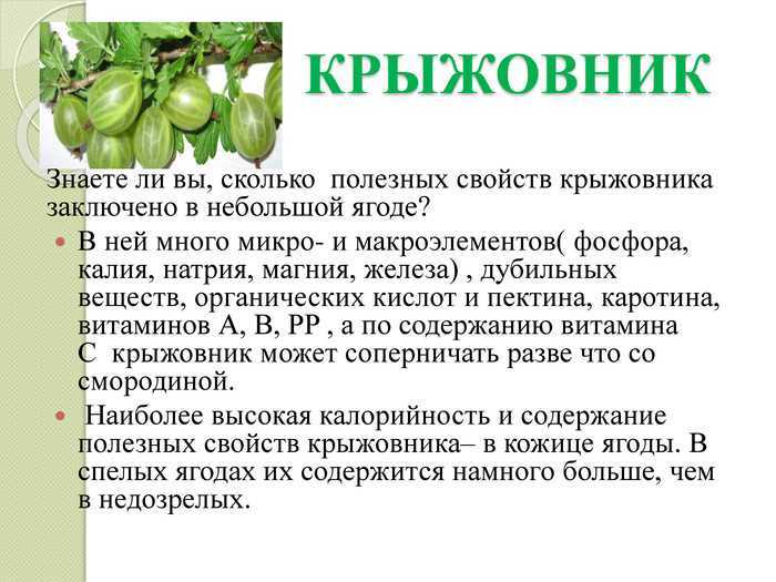 Продукты, вызывающие изжогу и диета для ее профилактики