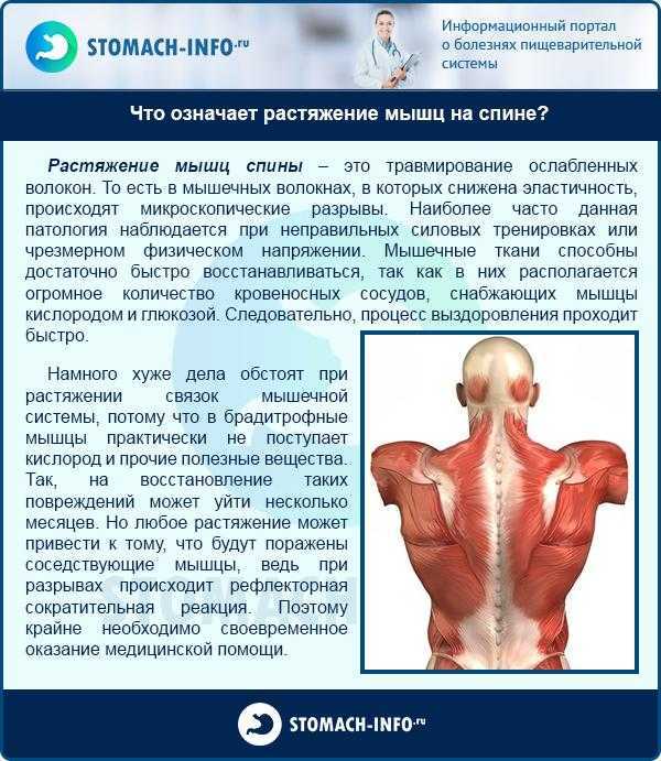 Анатомия мышц бедра. часть 2