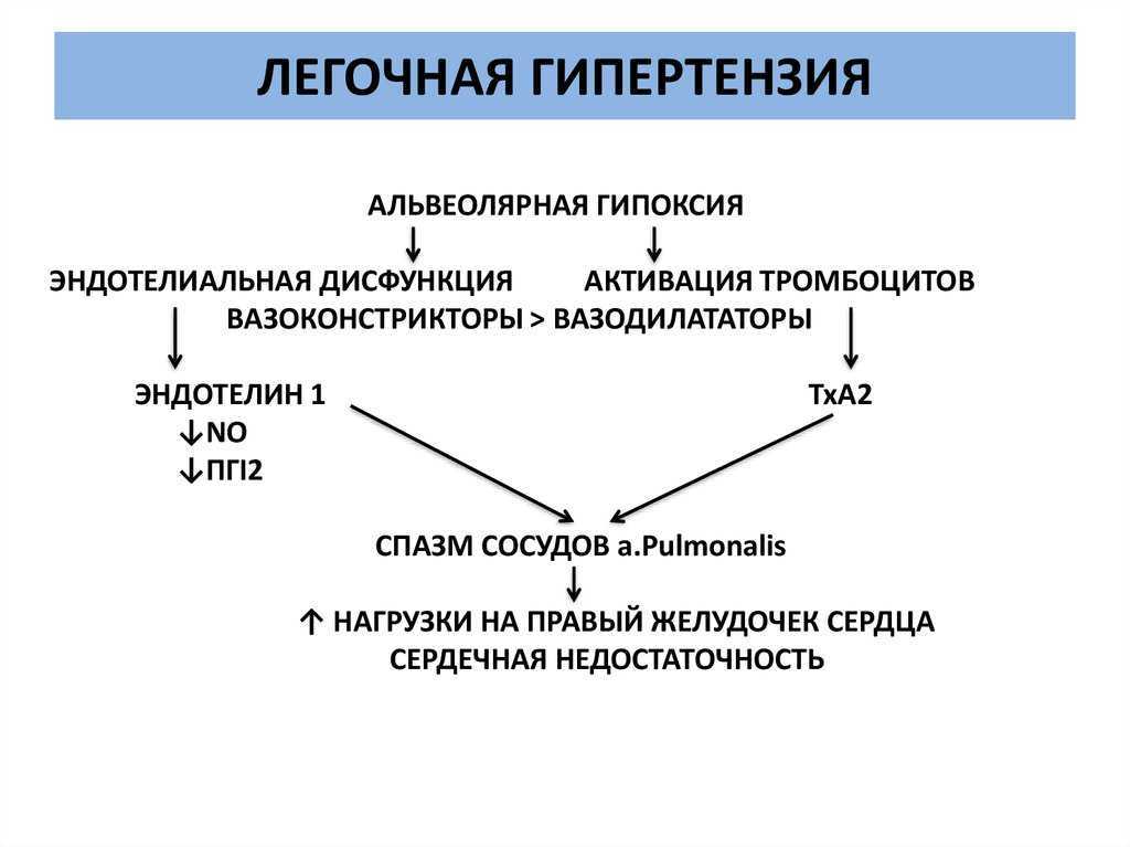 Схема лечения легочной гипертензии