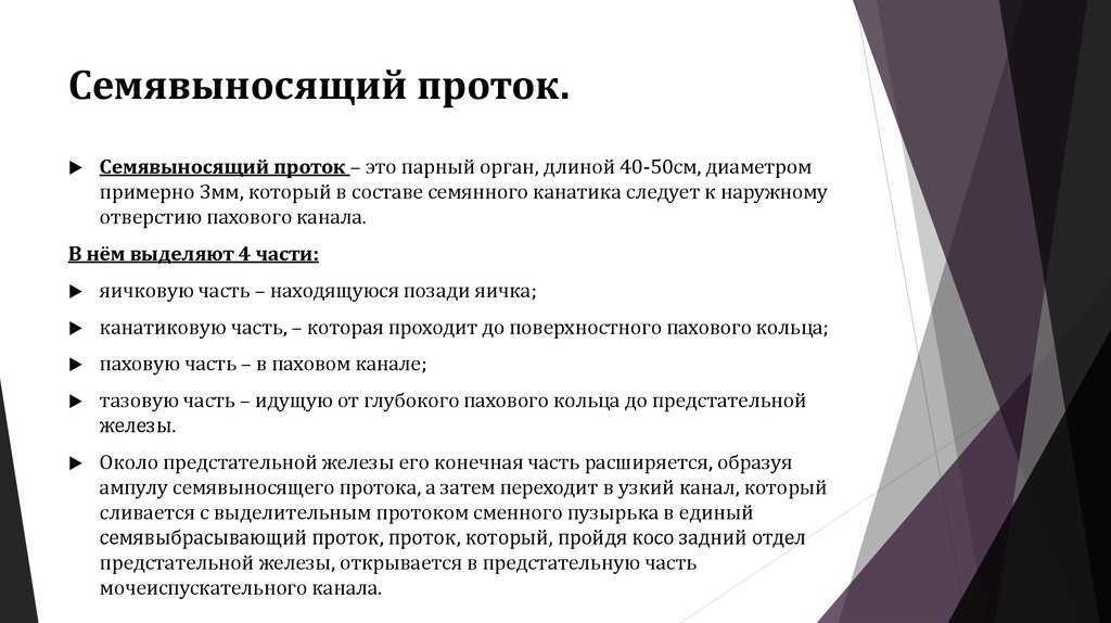 Лечение непроходимости семявыносящих путей | med expert