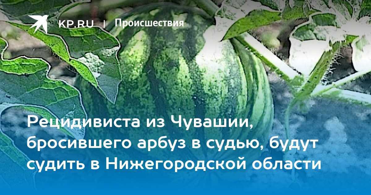 История арбуза : его родина и путь в европу и россию