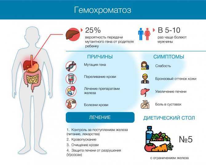 Заболевания печени - симптомы и признаки поражения печени | фосфоглив