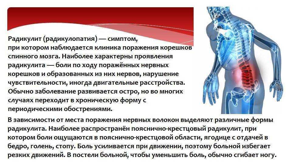 Пояснично-крестцовое сплетение