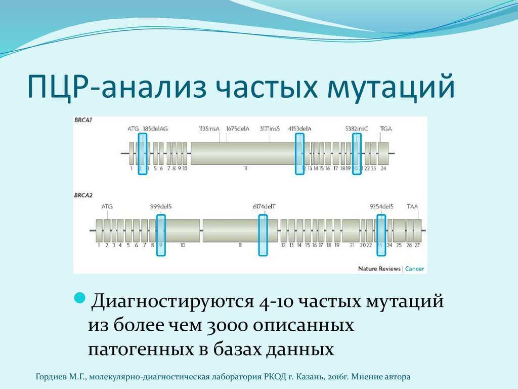 Гепатит с: симптомы, лечение, как передается гепатит с и что это такое?