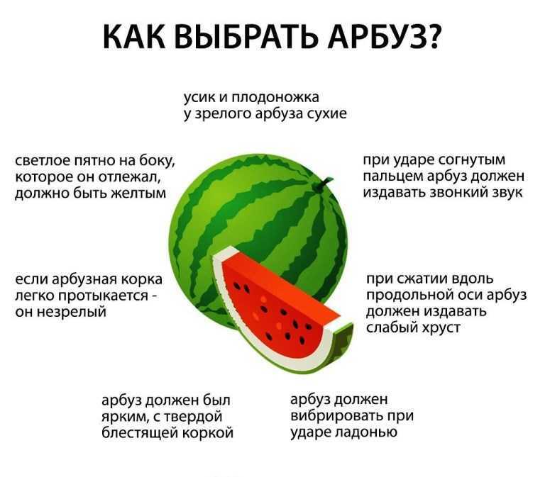 Где растут арбузы и дыни? :: syl.ru