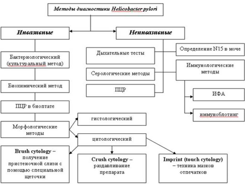 Выявления структуры. Структура службы информационной безопасности организации. Структура отдела информационной безопасности на предприятии. Метод выявления хеликобактер. Методы диагностика Helicobacter pylori.