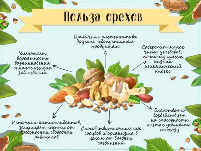 Употребление грецких орехов при диабете – эффективный способ стабилизации уровня сахара