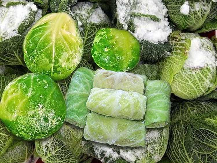 Как заморозить овощи на зиму в домашних условиях