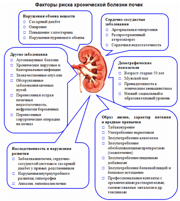 Лечение острой и хроничексой почечной недостаточности. причины и симптомы заболевания.