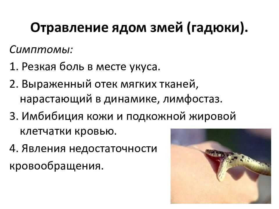 Что делать если уж укусил человека?