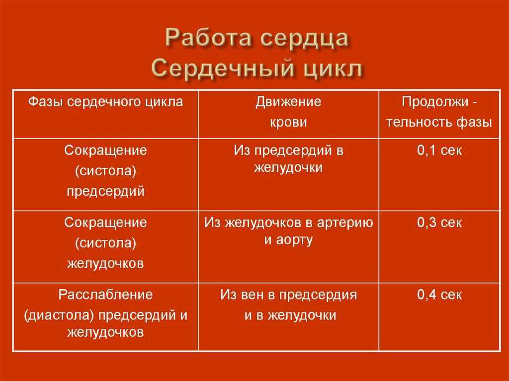 Фазы сердечного цикла схема