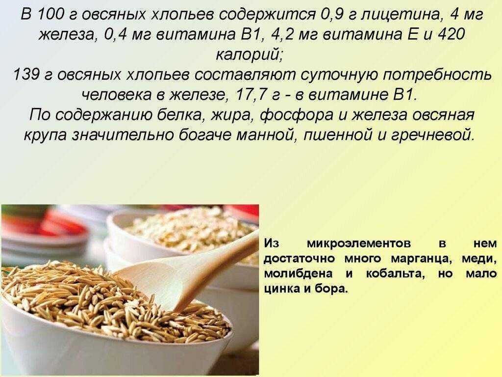 Овес — лекарственные свойства и применение в народной медицине