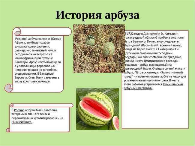 Стол №1
