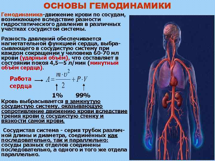 Гемодинамика движение крови по сосудам. Показатели гемодинамики давление. Движение крови в сосудистой системе физика. Основы гемодинамики.