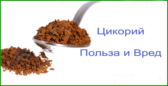 Сублимированный цикорий - что это значит (подробное объяснение)