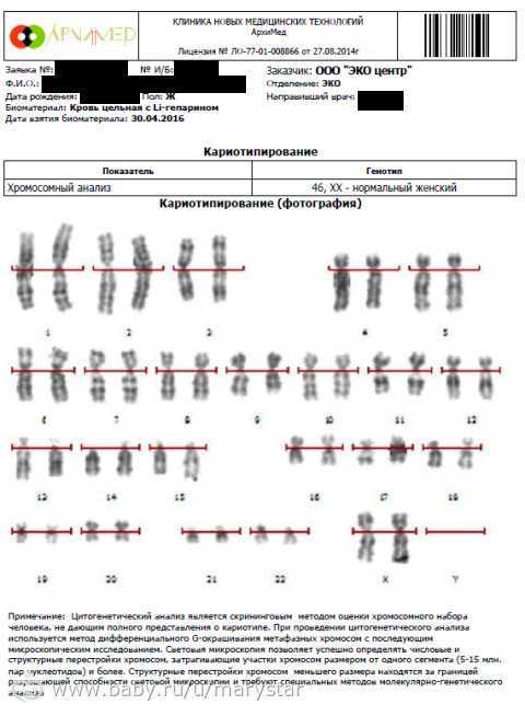 Кариотипирование супругов цена