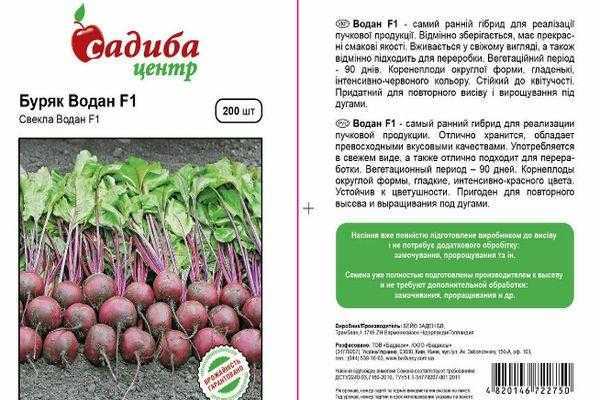 Описание кормовой свеклы и отличие ее от сахарной, особенности посадки и выращивания