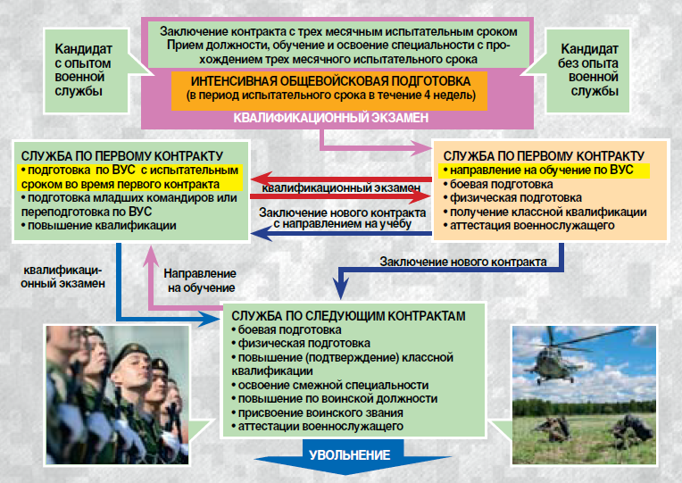 Образец контракта на военную службу 2022