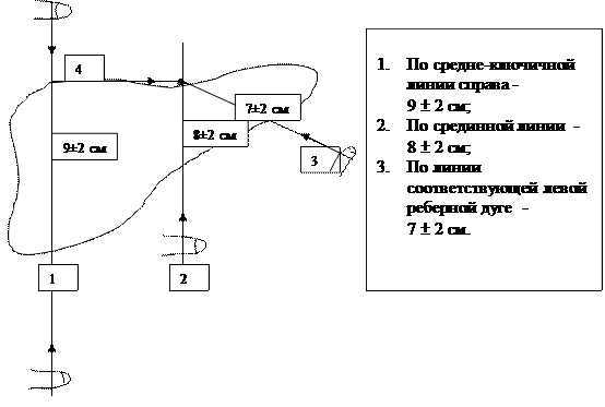 Перкуссия — большая медицинская энциклопедия