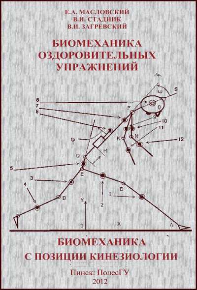 Мышцы [1977 - - анатомия человека. учебник для техникумов физической культуры]