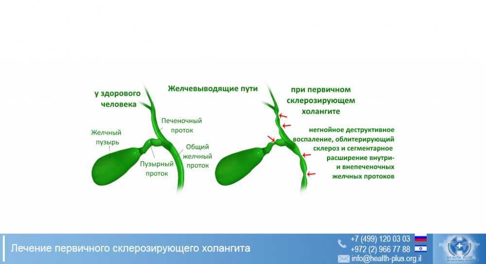 Витамины для печени
