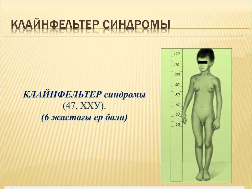 Экспресс метод определения полового хроматина. половой хроматин