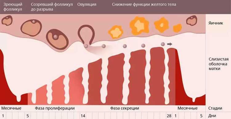Мазохизм – удовольствие от страдания и боли