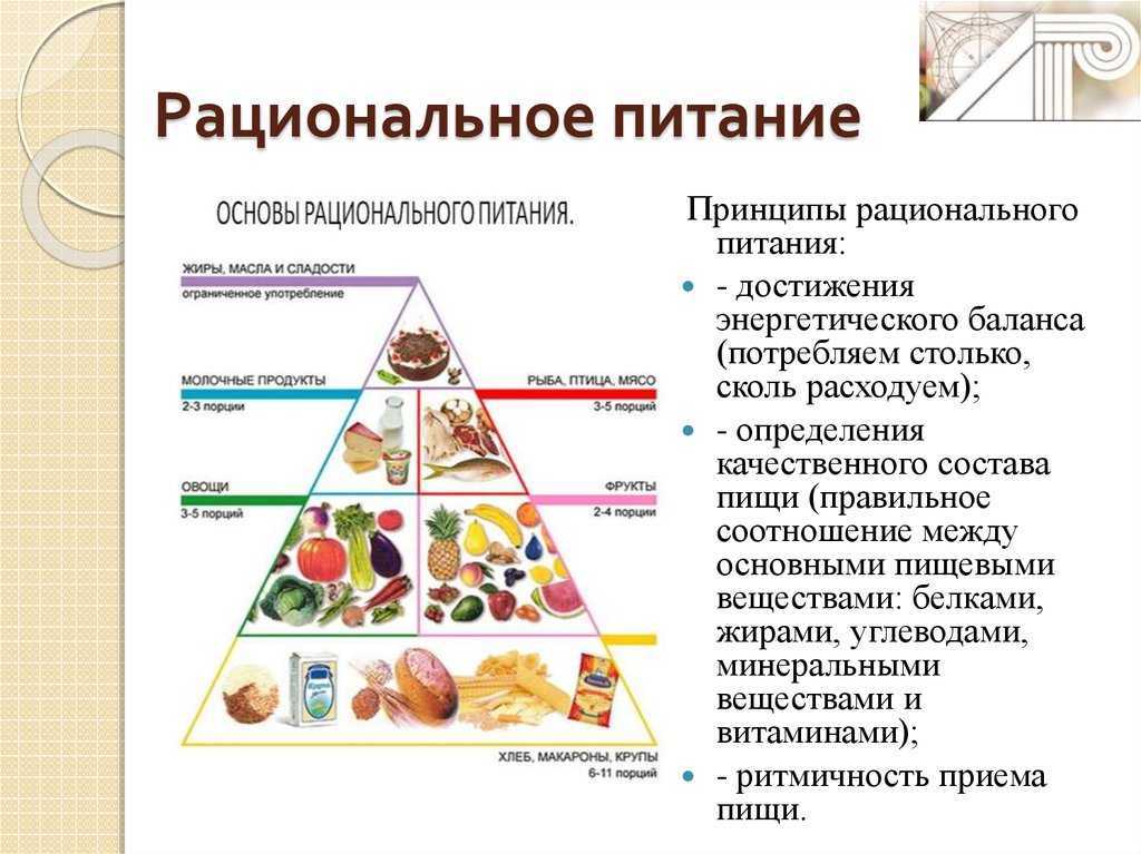 Рациональное питание план