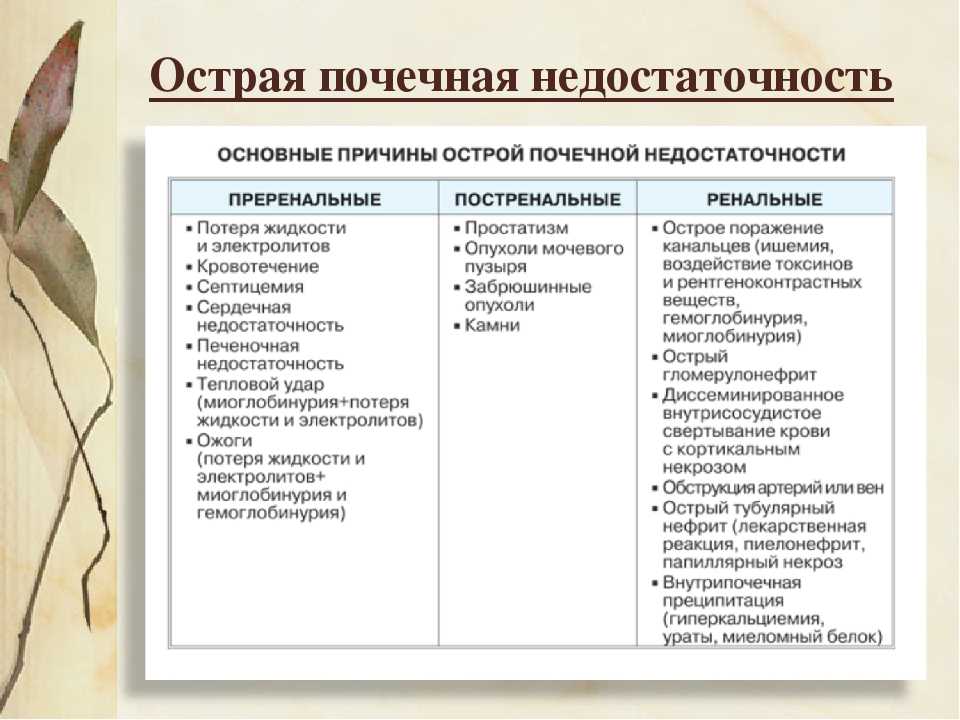 Стадии острой почечной недостаточности: начальная, олигоанурическая, полиурическая | университетская клиника