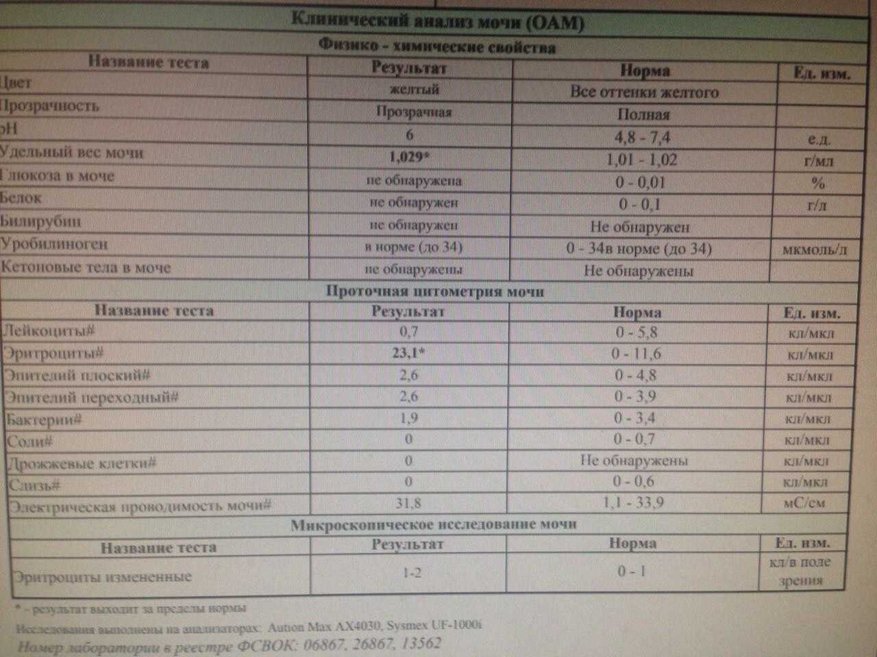 Эритроциты в моче норма