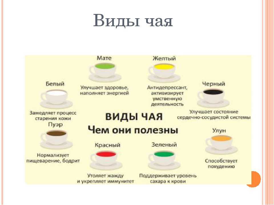 Чай с имбирём🍵 польза и вред, свойства для организма, рак профилактика